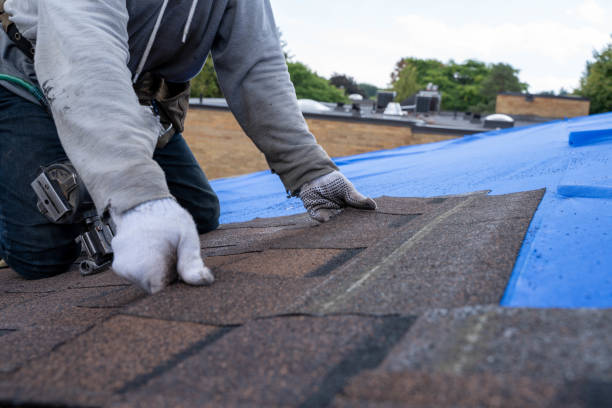 Best Commercial Roofing Services  in Waverly, NY