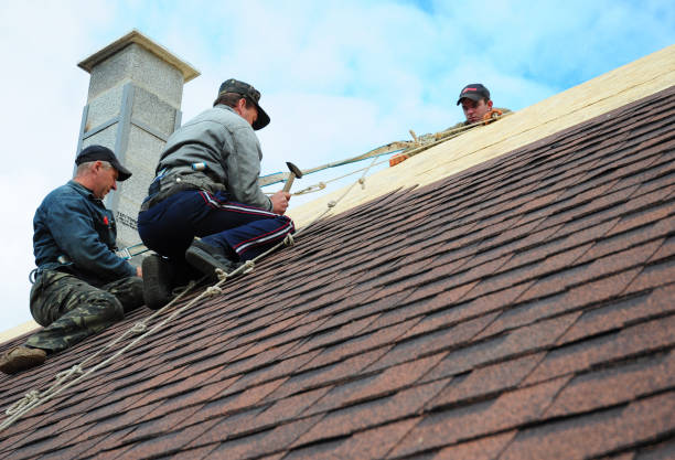 Best Flat Roof Repair Services  in Waverly, NY